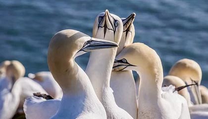 pp电子官网-Kaiyun开云官方网站中国登录:开启云端智慧之门